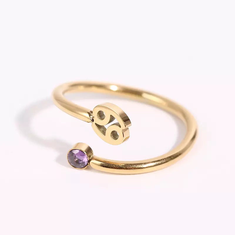 Birthstone Ring Horoscope Ring Zodiac Ring 18k Gold Plated Danity Adjustable