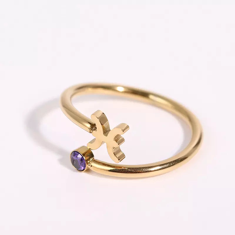 Birthstone Ring Horoscope Ring Zodiac Ring 18k Gold Plated Danity Adjustable